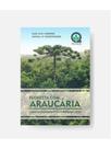 Floresta com araucária