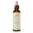 Flower Essence Bach Original Chestnut Bud 20 ml vegano