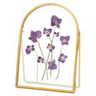 Flower Press Frame REDHUGO, vidro duplo, latão, 5 x 7 polegadas, ouro Flower Press Frame REDHUGO, vidro duplo, latão, 5 x 7 polegadas, ouro