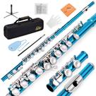 Flute Eastar EFL-1SB, orifício fechado de 16 teclas para iniciantes com acessórios