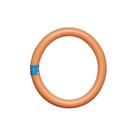 Flutuador Circular 55x6 cm Cores Sortidas 1552 Mor