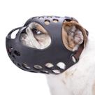 Focinho de cachorro BARKLESS para buldogue inglês Short Snout XL Focinho de cachorro BARKLESS para buldogue inglês Short Snout XL