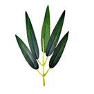 Folha De Bambu Mosso Artificial Silicone Pacote Com 100 Galhos