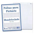 Folha de fichário A4 Refil Colegial 4 Furos Universitário Nf