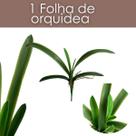 Folha de Orquídea Artificial Premium Haste Longa de Silicone Para Decoração de Arranjos - DE3224