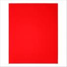 Folha Diablo 9x11, pacote 20, 220G