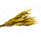 Folha Navalha Capim Navalha Amarelo Flor Buque Flores Secas