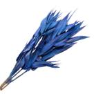 Folha Navalha Capim Navalha Azul 2 Buque Flores Secas Folha Navalha Capim Navalha Azul 2 Buque Flores Secas