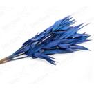 Folha Navalha Capim Navalha Azul Flor Buque Flores Secas