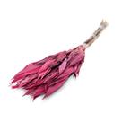 Folha Navalha Pink Desidratado