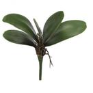 Folha Orquidea C-arame Phalaenopsis C-powder X5 Verde 22cm