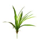 Folhagem Agave Flor Arte X19 Verde 46cm