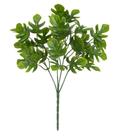 FOLHAGEM COSTELA DE ADAO PLASTICO X36 FOLHAS VERDE 30cm
