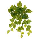 Folhagem de Jiboia verde com creme para arranjos pendentes x60 40 cm