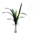 Folhagem De Orquídeas Silicone C/raiz 10 Folhas Longas Flor