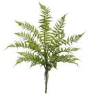 Folhagem de Samambaia verde para arranjos x18 56 cm Folhagem de Samambaia verde para arranjos x18 56 cm