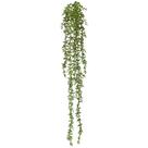 Folhagem de suculenta pendente Sedum verde x5 58 cm