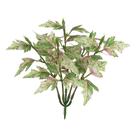 FOLHAGEM FIGUEIRA FORRACAO X15 VERDE ROSA 16cm