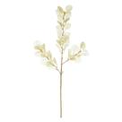 Folhagem Galho Eucalipto Palha 86cm