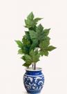 Folhagem Parreira com Semente Verde - 80 cm