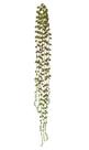FOLHAGEM PENDENTE SUCULENTA SEDUM PLASTICO X6 (VERDE) 75cm