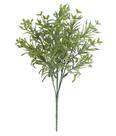 FOLHAGEM PODOCARPUS X15 VERDE 30cm FOLHAGEM PODOCARPUS X15 VERDE 30cm