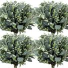 Folhas artificiais de eucalipto, caules, janinka a granel (20 unidades)