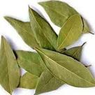 Folhas de Louro (Laurus nobilis) 30g - Erva Aromática Natural