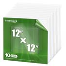 Folhas de PET/acrílico EASBriight, pacote com 10, 30 x 30 cm, 0,5 mm de espessura