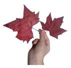 Folhas De Plátano Pintada Vermelho Seca Decoração Enfeite Folhas De Plátano Pintada Vermelho Seca Decoração Enfeite