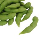 Food Model Market Display Props XGNG Faux Soybean Pods x24