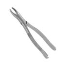 Fórceps Odontológico Infantil em Aço Inox - Fava Fórceps Odontológico Infantil em Aço Inox - Fava