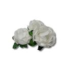 Forma Buganville Beauty Branco com Verde - Lulli Fest - 24 Unidades Forma Buganville Beauty Branco com Verde - Lulli Fest - 24 Unidades