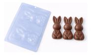 FORMA BWB ESPECIAL COELHO ENCANTADO PEQUENO 24g COD 10609