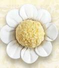 Forma daisy com 50 unidades ultrafest