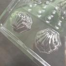 Forma de Acetato Aplique Mini Conchas Fundo do Mar