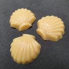 Forma de Acetato Aplique Mini Conchas Fundo do Mar