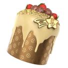 Forma de Chocolate Cocoa Form Estrela Cadente 6 Cavidades - 7cm