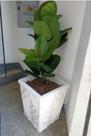 Forma Molde P/vaso De Abs 1mm Gesso Cimento 3d Folha