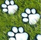 Forma/molde Pisante Abs Caminho Jardim Pata De Cachorro 49cm