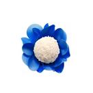 Forma Nstyle Azul Royal C/40 Ultrafest