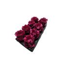 Forma Nstyle Pink C/40 Ultrafest