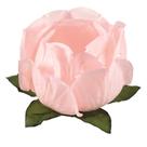 Forma Princesa Chá 30 Un - Decora