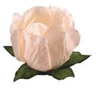 Forma Princesa Creme 30 Un - Decora