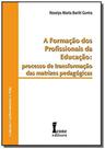 Formacao dos profissionais da educacao - Icone - Ícone