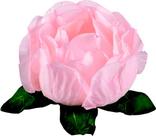 Forminha para Doces Finos - Bela Chá 40 unidades - Decora Doces