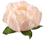 Forminha para Doces Finos - Bela Creme 40 unidades - Decora Doces