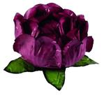 Forminha para Doces Finos Bela Marsala 40 unidades - Decora Forminha para Doces Finos Bela Marsala 40 unidades - Decora
