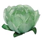 Forminha para Doces Finos - Bela Verde Oliva Matte - 40 unidades - Decora Doces - Rizzo