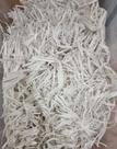 Forração papel celulose Neutra para Roedores Hamster Twister Topolino